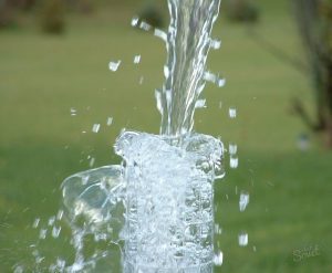 Как найти воду на участке?